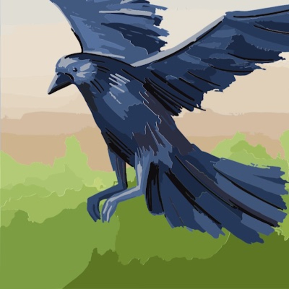 Meet your Posher, Raven